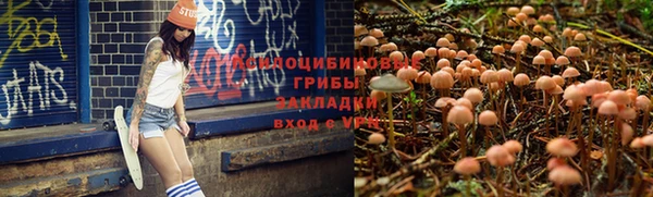 мет Армянск